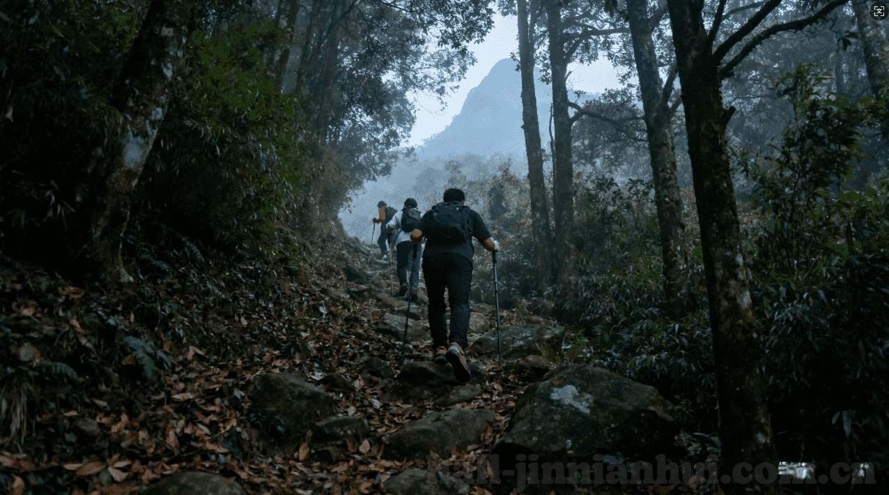 德州扑克牌-德州扑克，策略与智慧的博弈